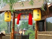 《天下第一针》的影评大全