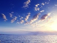 《生命是什么》经典读后感有感