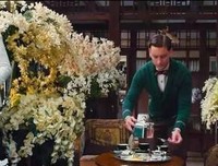 《了不起的盖茨比 夜色温柔》读后感1000字