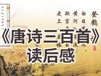 唐诗三百首详注的读后感大全