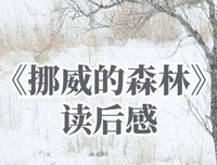 挪威的森林经典读后感有感