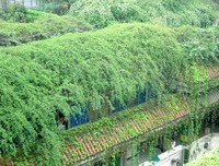 成都,耍家天堂读后感精选