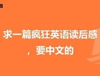 《疯狂星期日》读后感锦集