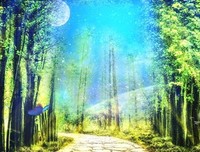 《奇幻森林》影评精选