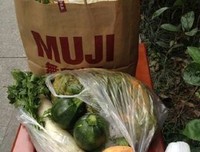 关于心是孤独的猎手的句子