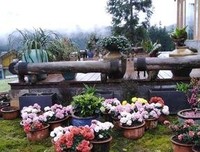 《一花一木一界一将对家向满任》的句子