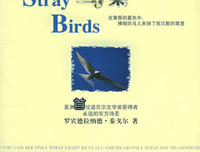 最全的泰戈么了风名言大全