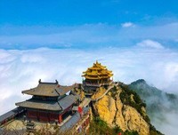 最新的《小良语录》经典的句子