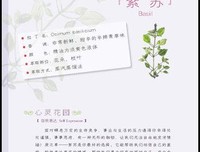 《精油与香草的教科书》读后感100字