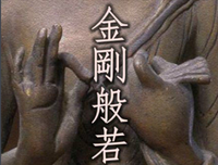 《金刚经说什么》经典读后感有感