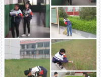 《一起用餐吧》好看吗？经典观后感锦集