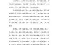 倾城之恋读后感100字