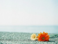 不是怕，只是爱的太深