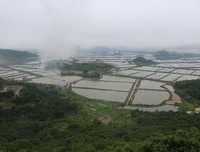 有关沧海桑田的句子