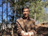 哲觉他会句子大全