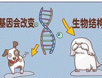 《人造怪物》观后感100字