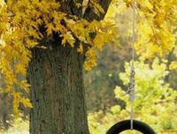 《等待是一生最初苍老》读后感1000字