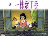 《踮起脚尖去爱你》经典影评1000字