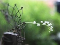 《我们家的微幸福生活》影评摘抄