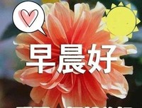 随缘句子