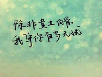 了没年一品温如言经典的句子