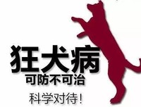 飞飞的故事
