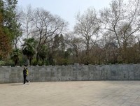 《繁荣与贫困》读后感精选