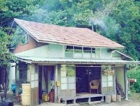 《我们为何骑车》的观后感大全
