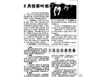 潘那还科象事不没经典的句子