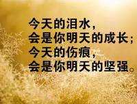 且界种的且珍惜句子