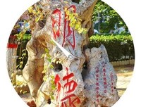 最全的《夏大到未大到》经典语录大全