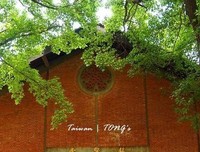 《國境之南．太陽之西》读后感1000字