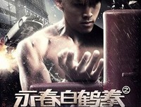 《永春白鹤拳之擎天画卷》经典影评1000字