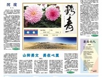 一次：影像和故事的读后感大全