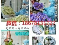 純露芳香療法读后感锦集
