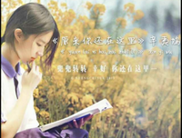 《原来》辛夷坞句子大全