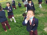 最全的《花朵的秘密生命》经典语句