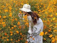 《男人女人和孩子》影评摘抄