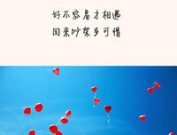 《若无相欠，怎会相见》的读后感大全
