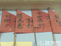 《八月炮火》读后感1000字