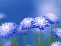《假如幸福来临》观后感摘抄
