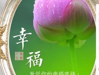 关于不动声色的语句