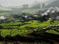 《手札》的优美句子