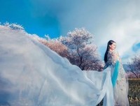 《菜根谭牡丹亭》的句子