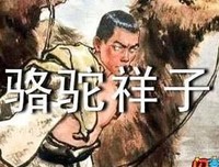 飞翔的鸟拒绝忧伤读后感100字