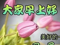 关于游刃有余的唯美语录