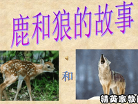想象的共同体的读后感大全