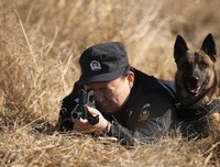《神犬奇兵》经典观后感有感