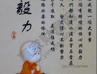哲学研究的读后感大全