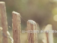 卢思浩的优美句子